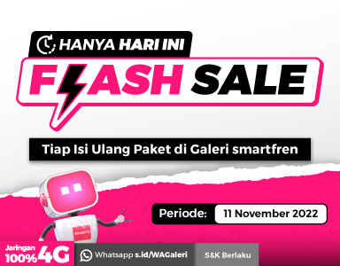 Program Flash Sale 11.11 Galeri